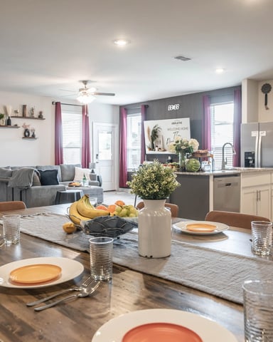 Comfortable, Clean Homes